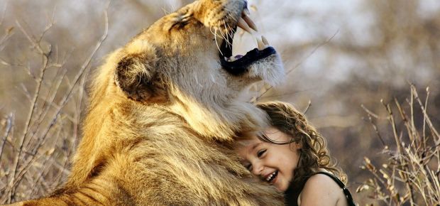 GESTION DES ÉMOTIONS ET ATTACHEMENT